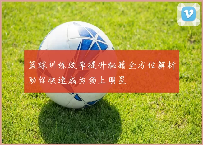 篮球训练效率提升秘籍全方位解析助你快速成为场上明星